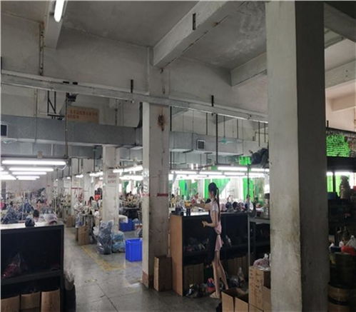 福州市培訓學校房屋安全鑒定住建局認可單位 新聞聯(lián)播