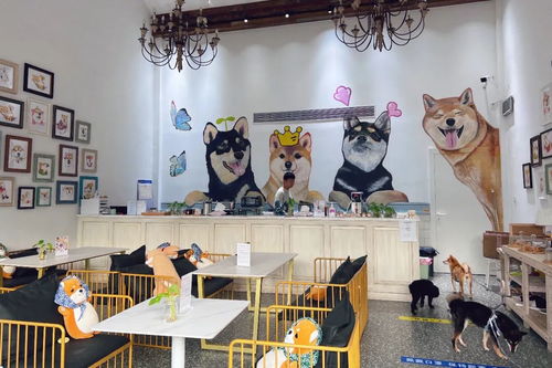 身邊的美學空間 蘇州這幾處公共文化體驗空間，文藝小資且充滿藝術靈感